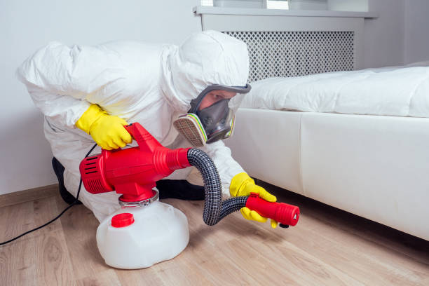 Emergency Pest Control in Lawton, MI